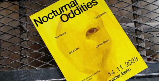 Nocturnal Oddities