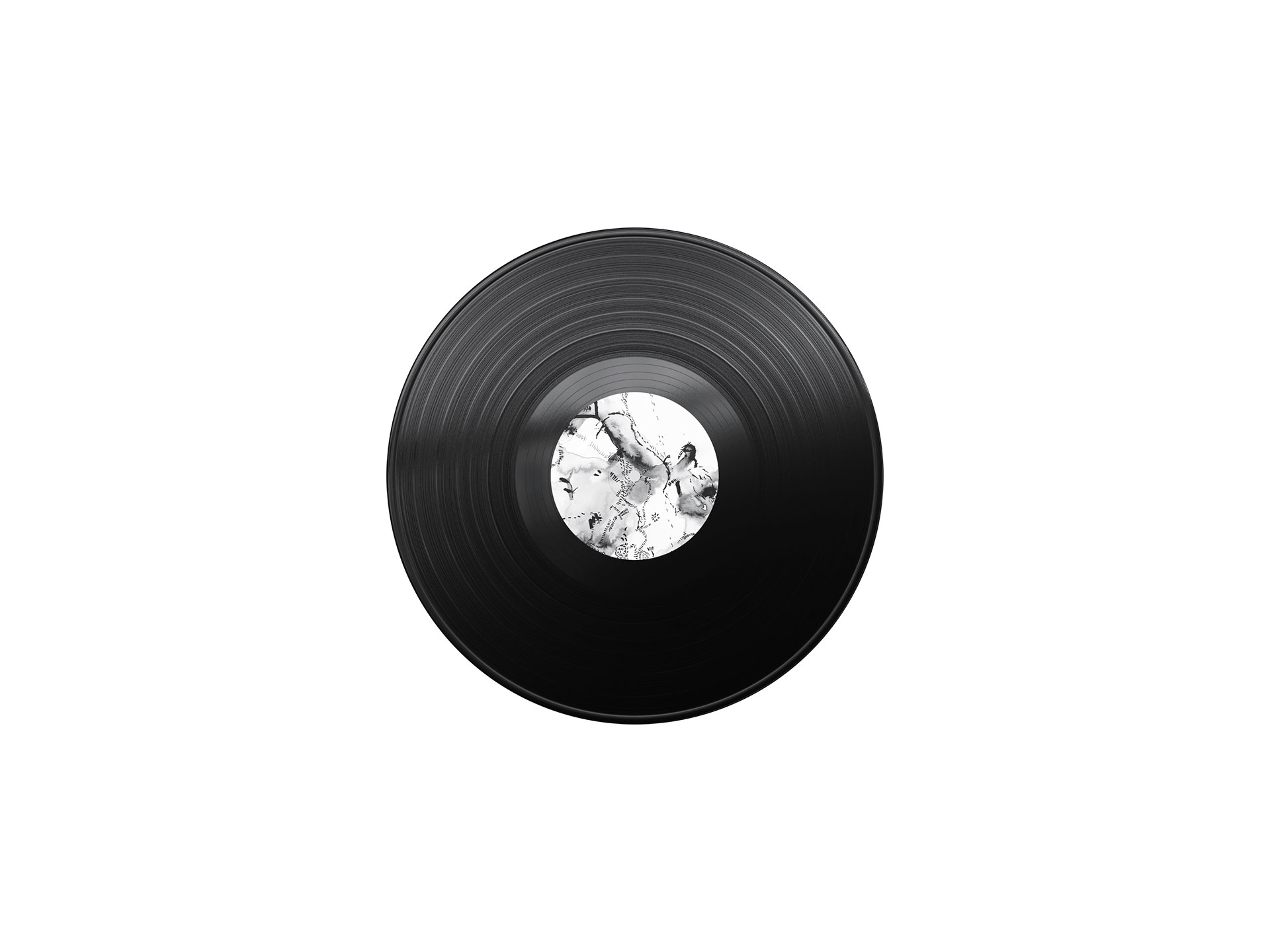 vinilo imagen vinilo amy